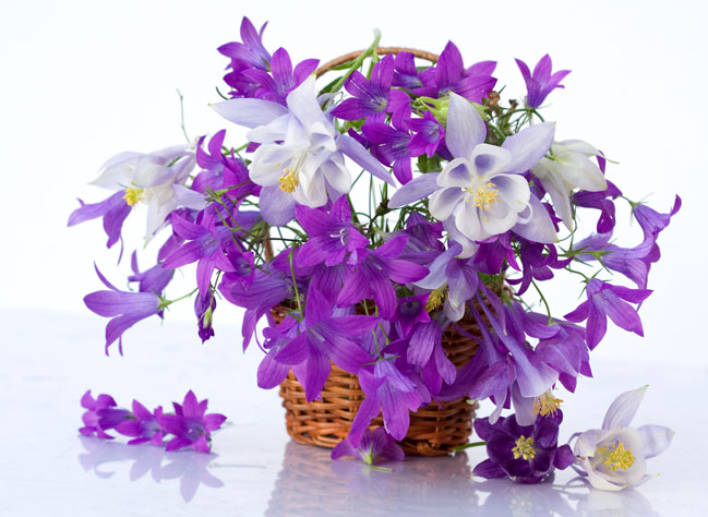 https://floridence.ru/assets/images/Articles/florist_bouquet/bq_12.jpg
